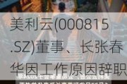 美利云(000815.SZ)董事、长张春华因工作原因辞职