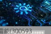 新雷能(300593.SZ)：正重点进行商用低轨卫星电源的技术规范研究