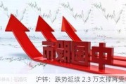 沪锌：跌势延续 2.3 万支撑再受考验