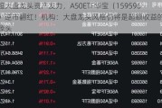 超大盘龙头资产发力，A50ETF华宝（159596）逆市翻红！机构：大盘龙头风格仍将是超额收益的重要源头