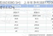 新疆火炬(603080.SH)：上半年净利润8170.06万元，同比增长6.62%