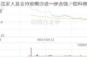 A股国家大基金持股概念进一步走强，国科微20cm涨停