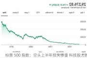 标普 500 指数：空头上半年损失惨重 科技股尤甚