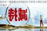 港股异动丨赣锋锂业反弹超6% 日前获小摩加仓超5000万港元