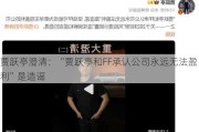 贾跃亭澄清：“贾跃亭和FF承认公司永远无法盈利”是造谣