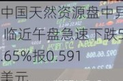 中国天然资源盘中异动 临近午盘急速下跌5.65%报0.591美元