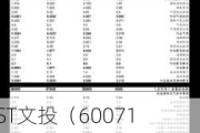 *ST文投（600715）被两地证监局关注并处罚，股民维权索赔速登记