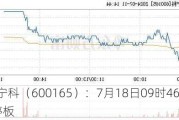 *ST宁科（600165）：7月18日09时46分触及涨停板