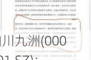 四川九洲(000801.SZ)：终止发行股份购买资产并募集配套资金暨关联交易事项