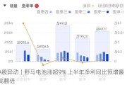 A股异动丨野马电池涨超9% 上半年净利同比预增最高翻倍