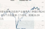 景顺长城电子信息产业股票A：净值0.9524元，近6个月收益率-17.05%，规模26.09亿元