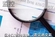 深交所：本周对“英力股份”等涨跌异常证券进行重点监控