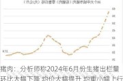 猪肉：分析师称2024年6月份生猪出栏量环比大幅下降 均价大幅提升 均重小幅上行