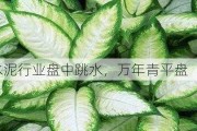 水泥行业盘中跳水，万年青平盘