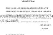 伊克赛尔服务控股盘中异动 快速拉升5.04%报45.25美元