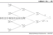 期权定价模型的实际应用