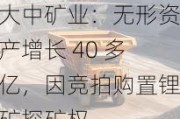 大中矿业：无形资产增长 40 多亿，因竞拍购置锂矿探矿权