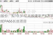 华鼎股份：拟10.31亿元投建年产6万吨高品质锦纶PA66长丝项目