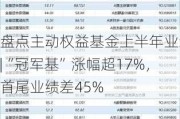 盘点主动权益基金上半年业绩|“冠军基”涨幅超17%，首尾业绩差45%