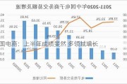 我国电商：上半年成绩斐然 多领域增长