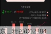 东山精密(002384.SZ)：截至2024年5月20日，公司股东总户数为94763户