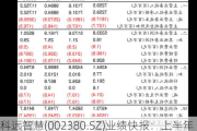 科远智慧(002380.SZ)业绩快报：上半年归母净利润1.10亿元 同比增长153.55%