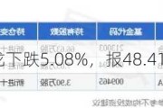 安培龙下跌5.08%，报48.41元/股