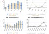 文科股份：2024年上半年净利润同比增长43.87%