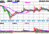 日科化学(300214.SZ)：截至2024年5月31日，公司股东总户数为16228名