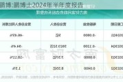 *ST鹏博:鹏博士2024年半年度报告