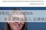 特斯拉、CrowdStrike：木头姐逆市买入 业绩挑战