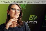 “木头姐”减持特斯拉 买入CrowdStrike