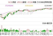 佳明盘中异动 股价大跌5.06%报162.09美元