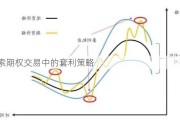 探索期权交易中的套利策略