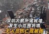 深圳市大鹏所城南门城墙发生坍塌：无人员伤亡