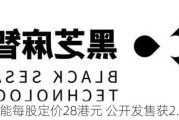 黑芝麻智能每股定价28港元 公开发售获2.52倍认购