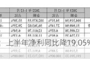 双汇发展：上半年净利同比降19.05% 拟10派6.6元