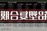 华大智造（688114）盘中异动 股价振幅达8.02%  上涨7.12%（07-31）