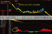 *ST步高（002251）：6月12日13时47分触及涨停板