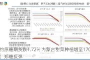 纽约原糖期货跌1.72% 内蒙古甜菜种植增至170万亩：郑糖反弹