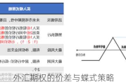 外汇期权的价差与蝶式策略