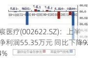 皓宸医疗(002622.SZ)：上半年净利润55.35万元 同比下降92.74%