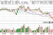 金龙羽上涨5.53%，报17.95元/股