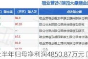 新华联：上半年归母净利润4850.87万元 同比扭亏