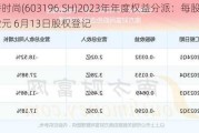 日播时尚(603196.SH)2023年年度权益分派：每股派0.022元 6月13日股权登记