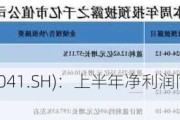 海光信息(688041.SH)：上半年净利润同比预增16.32%到30.78%