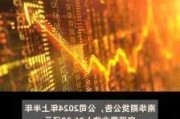 南华期货上半年净利润2.3亿元