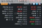 Kkr  Co. Inc.盘中异动 下午盘股价大涨5.00%报111.54美元