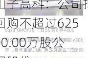 山子高科：公司拟回购不超过62500.00万股公司股份