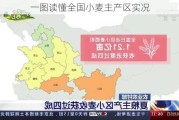 一图读懂全国小麦主产区实况